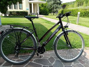 Bicicleta airbike ZROB » Alquiler Particular